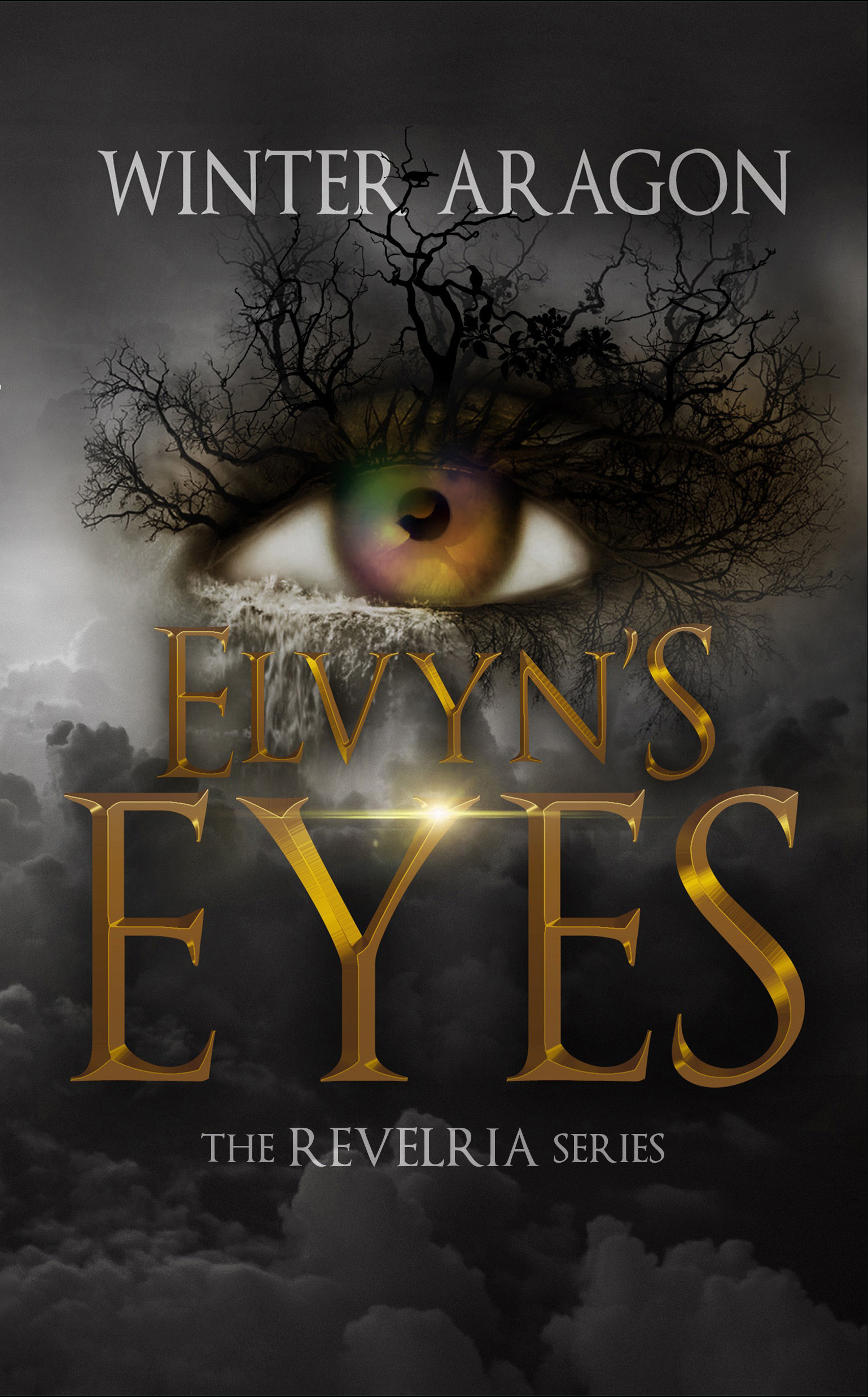 Elvyn’s Eyes