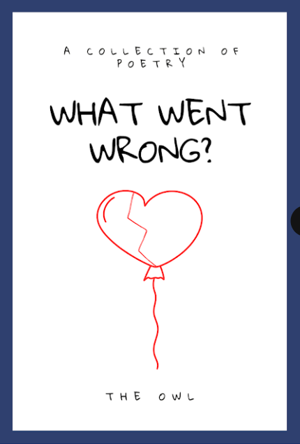 What Went Wrong