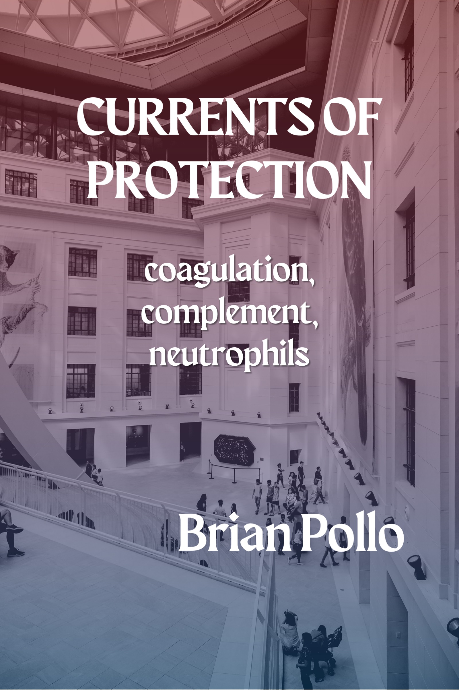 Currents of Protection: Coagulation, Complement, Neutrophils